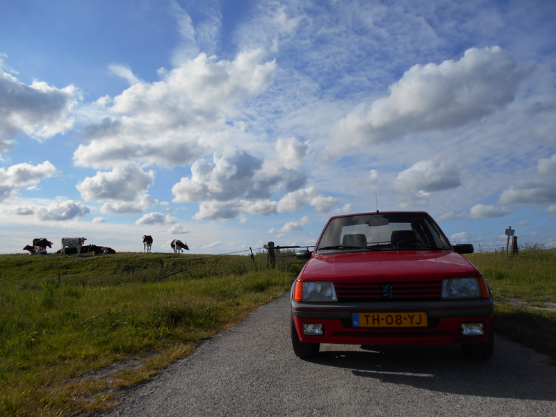 Illustration for article titled While photographing a car... (updated pictures)